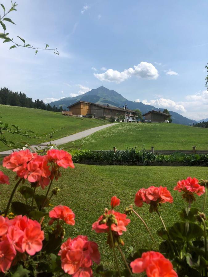 Appartement Woergoetter Evi Sankt Johann in Tirol Zewnętrze zdjęcie